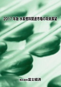2017年版 水素燃料関連市場の将来展望